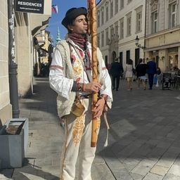 Vienna to Budapest One-Way Transfer Tour