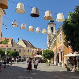 Vienna to Budapest One-Way Transfer Tour