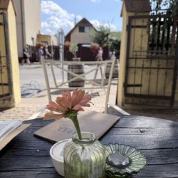 Krakow to Vienna One-Way Transfer Tour