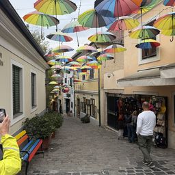 Vienna to Budapest One-Way Transfer Tour